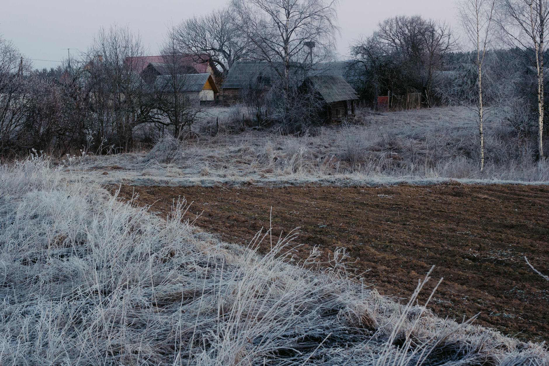 Ogród w Brańsku wczesną wiosną, gotowy do sadzenia po ustąpieniu przymrozków.